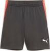 Puma IndividualFinal Fußballshorts