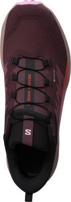Salomon Sense Ride 5 GTX Traillaufschuhe