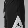 Nike Jordan Sport Basketball Shorts