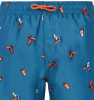 Protest Prtrocker Beachshort
