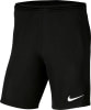 Nike Dri-Fit Park 3 Trainingsshorts