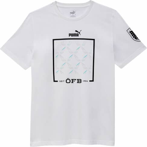 ÖFB Ftblicons T-Shirt
