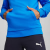 Puma teamGOAL Casuals Hoodie