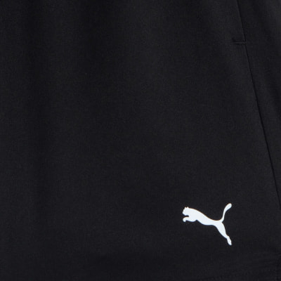 Puma Tad Ess Shorts