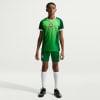 Nike Nigeria 2026 Kinder Heimtrikot Replica