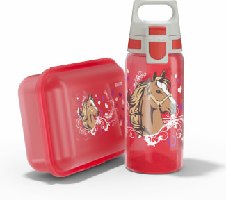 Trinkflasche VIVA Lunchboxset