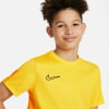 Nike Dri-Fit Academy 23 T-Shirt