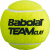 Babolat Team Clay X 4 Tenisové míčky
