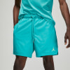 Nike Jordan Poolside, kraťasy