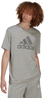 M SP SD T póló