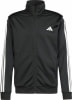 adidas Sportswear Basic 3-Streifen Tricot Trainingsanzug