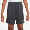 Nike Dri-FIT Academy23 gyerek rövidnadrág