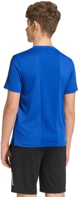 Rückansicht eines Jungen in einem blauen T-Shirt und schwarzen Shorts. Rückansicht eines Jungen in einem blauen T-Shirt und schwarzen Shorts.