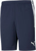 Puma TeamLIGA Fußballshorts