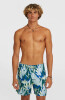 O'Neill Print Badeshorts