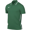 Grünes Nike Poloshirt mit weißem Logo und Streifen am Kragen und an den Seiten.