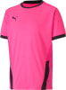Puma teamGOAL 23 Trainingsshirt