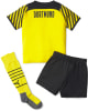 Puma BVB 21/22 Mini-Kit