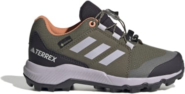 Terrex GTX Wanderschuhe