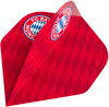 Bulls FC Bayern München Collection Flights