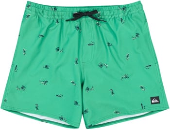 Quiksilver Stretch Badeshorts