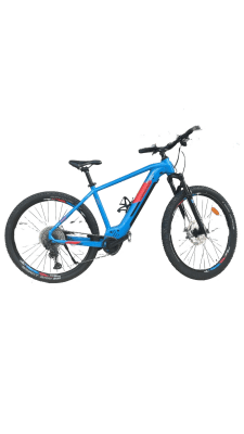 Genesis E-Pro MTB 2.2 LTD