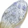 F50 Elite FG Nockenfussballschuh UK-Gr.