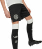 adidas Deutschland Anniversary Shorts