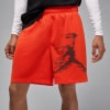 Nike J DF SPRT GFX ffi. sort