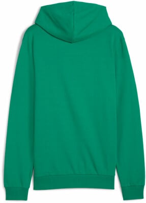 Puma teamGOAL Casuals Hoodie