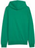 Puma teamGOAL Casuals Hoodie