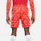 Dri-FIT Strike Soccer Shorts