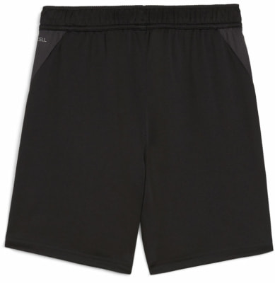 Puma teamGOAL Trainingsshort