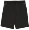 Puma teamGOAL Trainingsshort