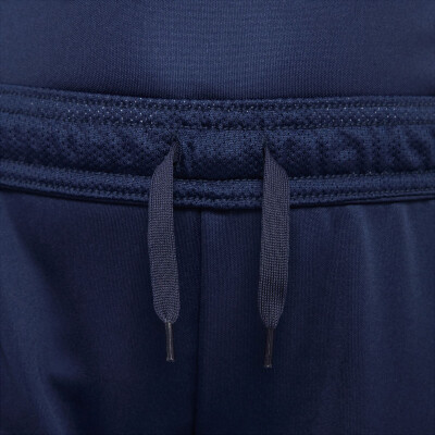 Nike Academy Pro Short
