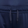 Nike Academy Pro Short