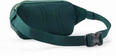 Patagonia Terravia Mini Hüfttasche