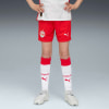 Puma FC Red Bull Salzburg 25/26 Shorts