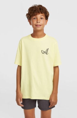 O'Neill Logo Stripe Badeshorts