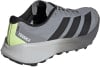Grauer Adidas Terrex Laufschuh mit schwarzen Streifen und hellgrüner Ferse.