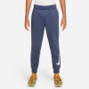 Nike Therma Multi Jogginghose