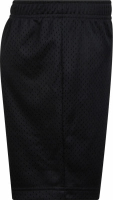 Nike Essential Mesh Shorts