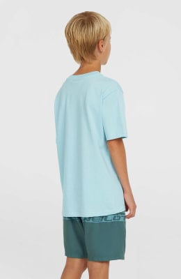 O'Neill Cali Stripe Badeshorts