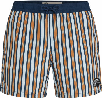 O'Neill O'Riginals Stripe Badeshorts