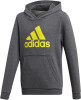adidas YB LOGO Hoodie gyerek kapucnis felső