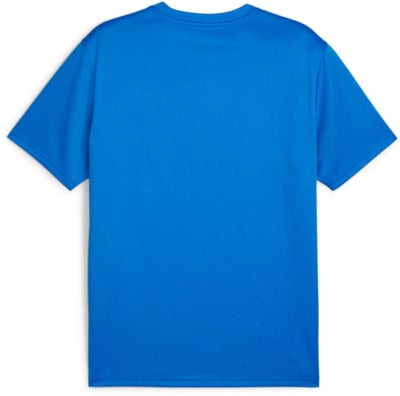 Puma teamGOAL Trikot