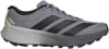 Grauer Adidas Terrex Laufschuh mit schwarzen Streifen und hellgrüner Ferse.
