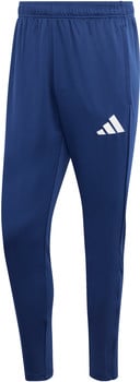 Blaue Sporthose mit weißem Adidas-Logo auf dem linken Hosenbein.