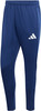 Blaue Sporthose mit weißem Adidas-Logo auf dem linken Hosenbein.