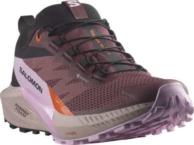 Salomon Sense Ride 5 GTX Traillaufschuhe